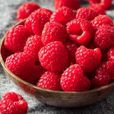 2 Caroline Red Raspberry Live Plants, Berry Bush Plant, 4-6 Inch Tall