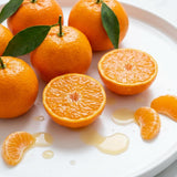 Orange Satsuma Tree Live, Mandarin Tree, 1-2 Ft Tall, 1 Gallon Pot