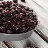 3 Sweet Thornless Boysenberry Plants Live, Garden Plant, 4-6 Inch Tall