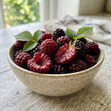 2 Sweet Boysenberry Live Plants, Starter Plant, 4-6 Inch Tall