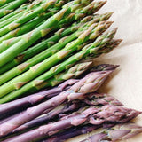 20 Mixed Asparagus Roots to Plant, Ready to Grow Plant