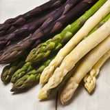 20 Mixed Asparagus Roots to Plant, Ready to Grow Plant