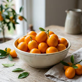 Meiwa Kumquat Tree, Kumquat Fruit Tree, 1-2 Ft Tall, 1 Gallon Pot