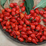 2PPP Biquinho Pepper Plants Live, 4-7 Inch Tall, 4 Inch Pot