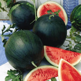 50 Watermelon Live Seeds, Heirloom Garden Seeds