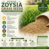 100,000 Emerald Zoysia Grass Seeds Garden, Patio Container Plant
