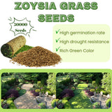 50000 Zoysia Grass Seeds, Indoor Outdoor Plant for Backyard and Landscape Planting