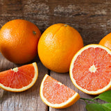 Red Navel Orange Tree, Hardy Garden Plant, 1-2 Ft Tall, 1 Gallon Pot