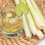 5 Live Lemongrass Plants, Home Garden Plant, 4-6 Inch Tall