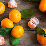 Sweet Tangerine Citrus Tree, Orange Tree Live Plant, 1-2 Ft Tall in Pot