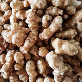 1 Lb Artichoke Live Tubers, Indoor Outdoor Plant