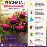 Red Fuchsia Live Plant, Patio Basket Flower, 4-8 Inch Tall, 5 Inch Pot