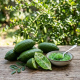 Green Finger Lime Tree, Finger Lime Fruit Tree, 1 Gallon Pot
