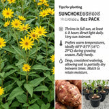 8 Oz Sunchoke Tubers, Sunchoke Roots for Planting