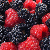 2 Navaho BlackBerry Live Plants, Berry Fruit Bush, 4-6 Inch Tall