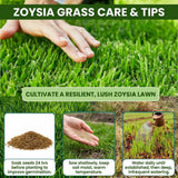 100,000 Emerald Zoysia Grass Seeds Garden, Patio Container Plant