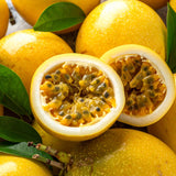 Yellow Passion Fruit Live Plant, Trellis Fruit Vine, 4-6 Inch Tall