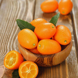 Orange Kumquat Tree, Live Starter Plant, 1 Gallon Pot