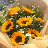 Orange Live Sunflower Plant, Well-Rooted Flower Plant, 3-5 Inch Tall