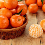 Sweet Clementine Mandarin Tree Plant Live, Starter Plant, 1 Gallon Pot