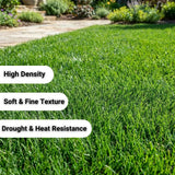 80000 Zoysia Grass Seeds for Lawn, Emerald Zoysia Grass Seed