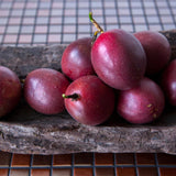 Purple Passion Fruit Live Plant, Outdoor Garden Fruit Vine, 4-6 Inch Tall