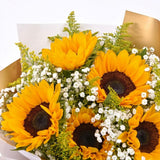 Yellow Sunflower Live Plant, Outdoor Garden Flower Plant, 3-5 Inch Tall