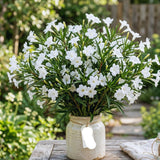 6 White Petunia Plants Live, Patio Container Plant, 5-7 Inch Tall