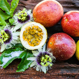 Red Passionfruit Plant, Passion Fruit Plant Live, 4-6 Inch Tall
