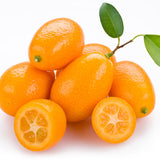 Orange Kumquat Tree, Live Starter Plant, 1 Gallon Pot