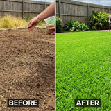 36000 Zoysia Grass Seeds for Lawn, Thick Green Lawns