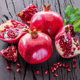 Red Pomegranate Live Tree, Hardy Garden Plant, 4-6 Inch Tall