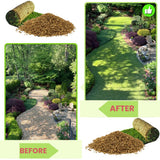 20000 Emerald Zoysia Grass Garden Seeds, Indoor Outdoor Plant
