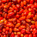 2 Red Goji Berry Plants Live, Garden Plant, 4-6 Inch Tall for Growing