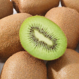 2 Hardy Kiwi Plants Live, Berry Vine Plant, 4-6 Inch Tall