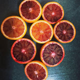 Red Navel Orange Tree Plant, Grafted Citrus Plant 2-3 Ft Tall, 1 Gallon Pot