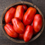 2 Red Tomato Live Plants, Vegetable Plant, 4-6 Inch Tall, 4 Inch Pot