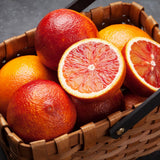 Orange Tree, Citrus Fruit Tree, 1-2 Ft Tall, 1 Gallon Pot