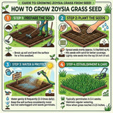 80000 Zoysia Grass Seeds for Lawn, Emerald Zoysia Grass Seed