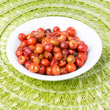 Red Chiltepin Pepper Plants Live, 4-7 Inch Tall, 4 Inch Pot