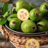2 Pineapple Guava Live Plant, Guava Sweet Fruit, 4-6 Inch Tall