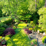 20000 Emerald Zoysia Grass Garden Seeds, Indoor Outdoor Plant