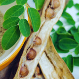 50 Heirloom + Moringa Seeds, Live Starter Plant