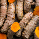 15 Turmeric Roots for Planting, Turmeric Rhizomes, Edible Tropical Herb
