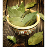 Bay Leaf Live Plant, Sweet Bay Laurel Herb, 4-6 Inch Tall