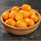Orange Kumquat Tree Plant Live, Live Starter Plant, 2-3 Ft Tall