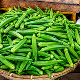 2 Green Okra Plants Live, Vegetable Start Plant for Home Garden, 4 Inc Pot
