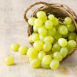 3 Grape Plants Live for Planting, Starter Plants, 3-5" Tall, No Pot, Cold Hardy, Tree Grape Vines Fruit for Spring Growing (Green Yellow)