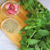 6 Spearmint Herb Live Plants, Herb Plant, 3-6 Inch Tall