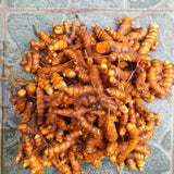 2 Turmeric Live Plant, Curcuma Turmeric Rhizomes, 4-6 Inch Tall